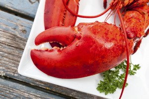 Holbox Food Festival Lobster