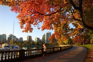 Stanley Park Vancouver Autumn
