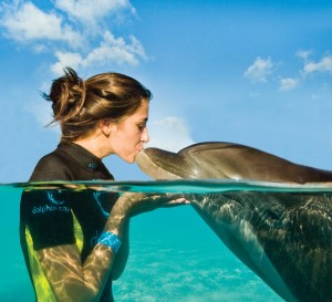 Dolphin Cay, Atlantis