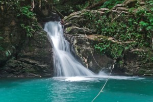 Trinidad & Tobago Waterfall