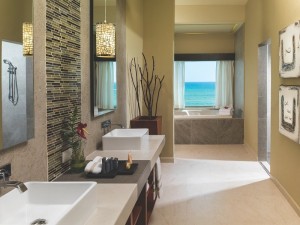 Oceanfront One Bedroom Jacuzzi Suite Restroom