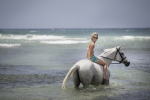 HalfMoon Montego Bay Horseback