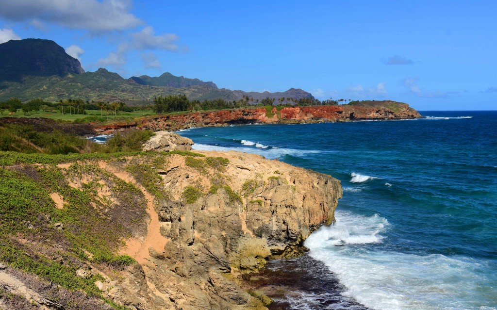 Hunt for Fossils along Kauai's Makawehi Lithified Cliffs.